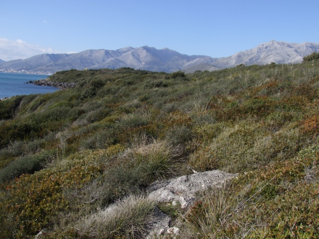 Porticciolo romano - Formia